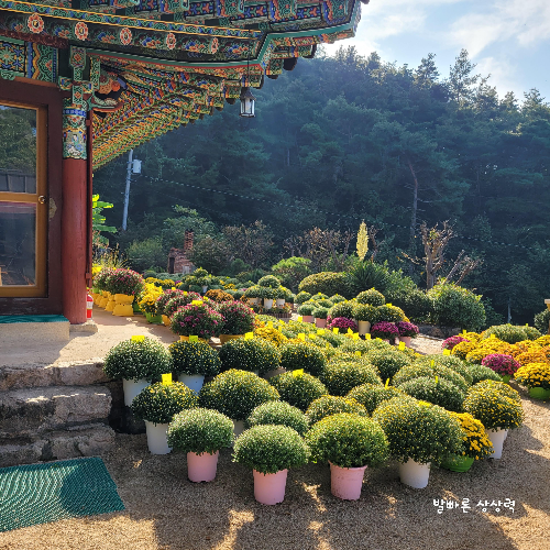 구미가볼만한곳-문수사