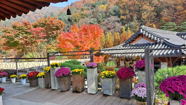 단풍명소_화담숲_식당