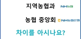 지역농협과 중앙농협 차이점 비교 정리자료_22