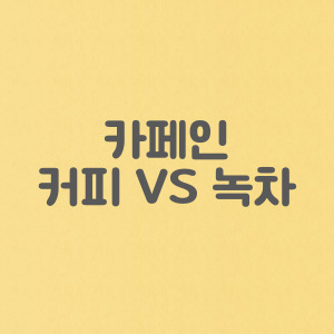 커피와 녹차 카페인 함량 같은 점과 다른 점 카페인 부작용