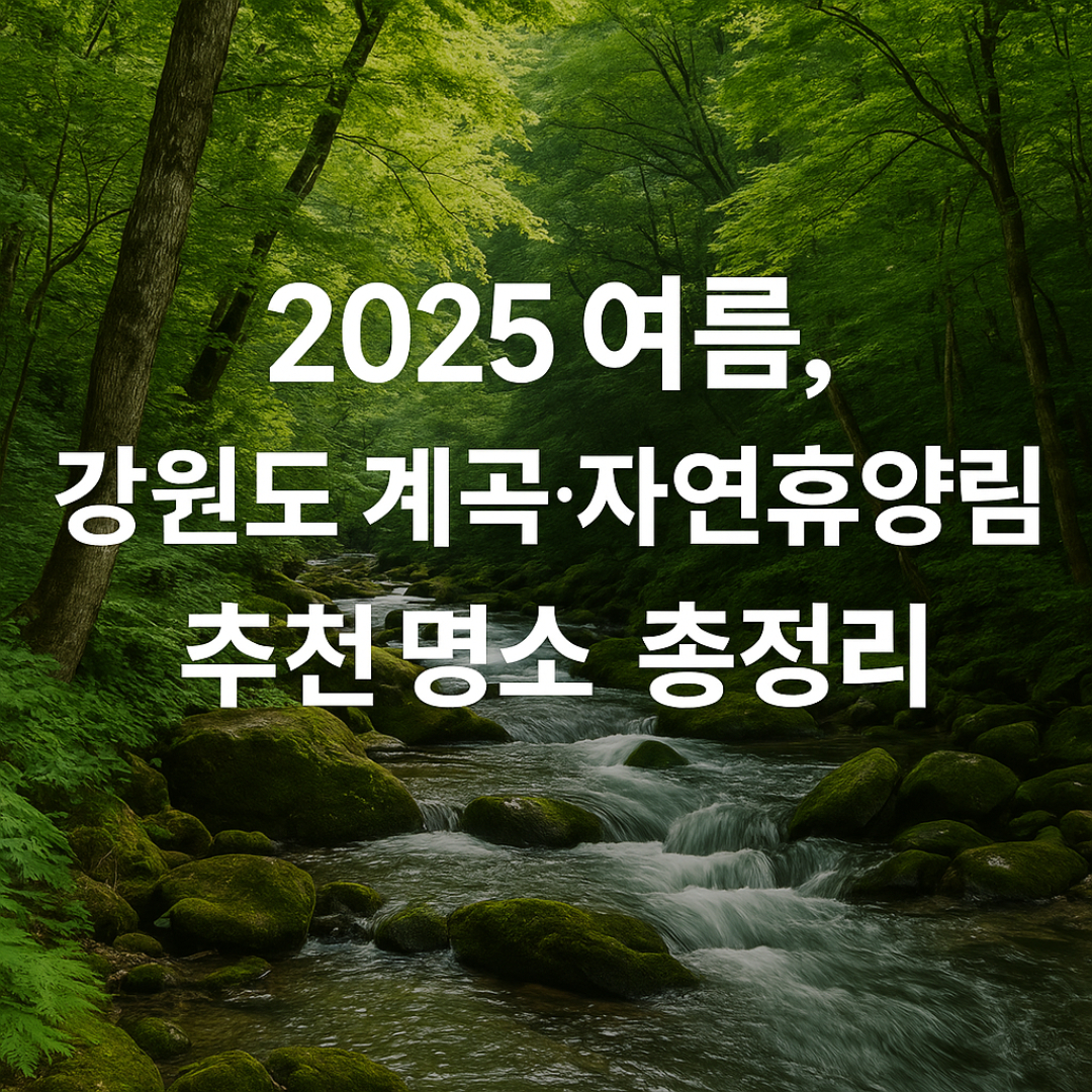 강원도 자연휴양림 추천