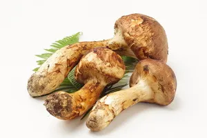 비타민D-보충-방법