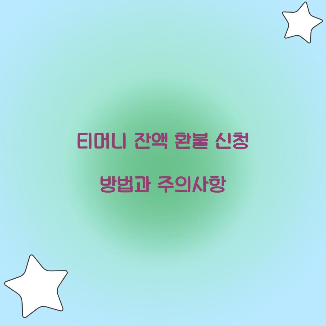 티머니 잔액 환불