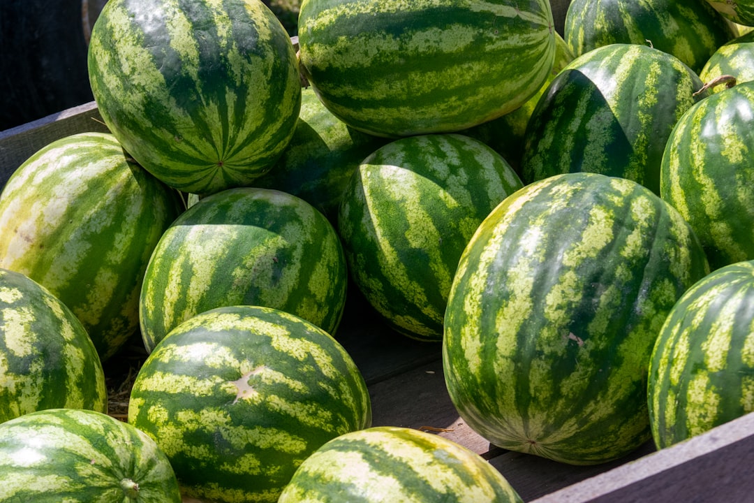 yield