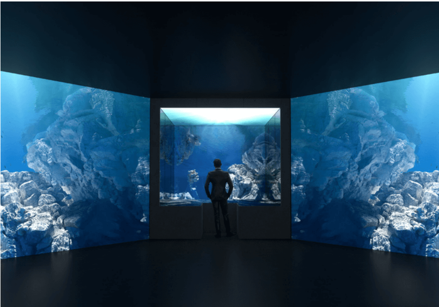 기아 자사브랜드 오퍼짓 유나이티드전시