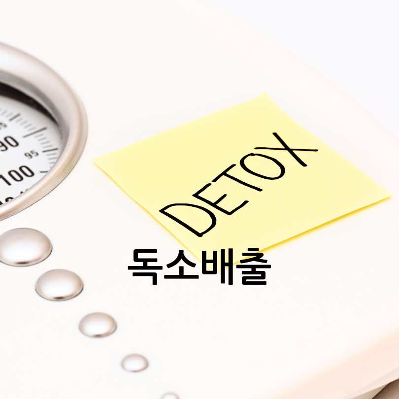 레몬버베나 다이어트