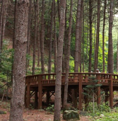 숲나들e 국립 산음 자연휴양림 국내 여행지 추천 관련사진