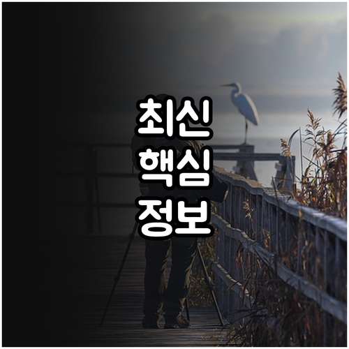 성공 M&A 전략 2025! 중소벤처..