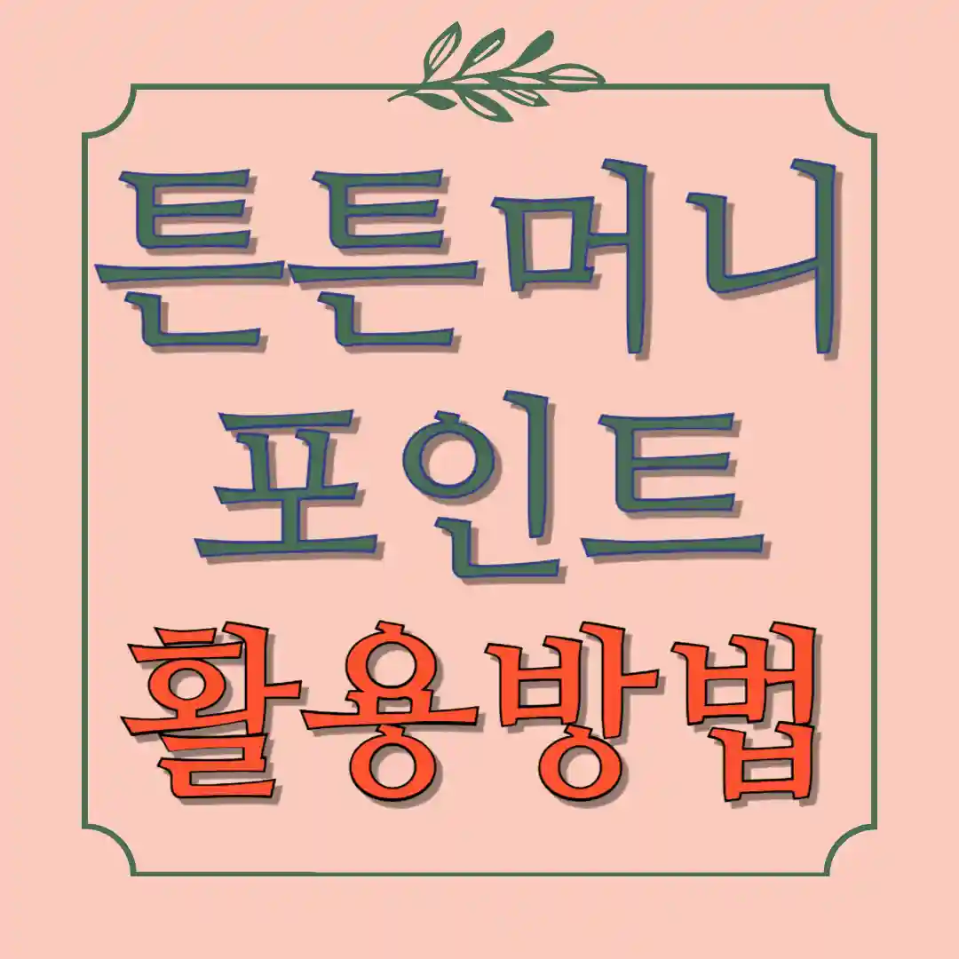 튼튼머니