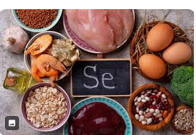 셀레늄(Selenium)6