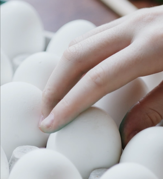 계란으로 만들 수 있는 다양한 요리