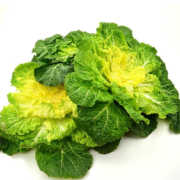 봄나물 종류와 효능 BEST6