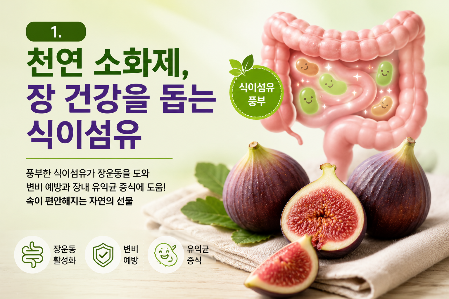 천연 소화제