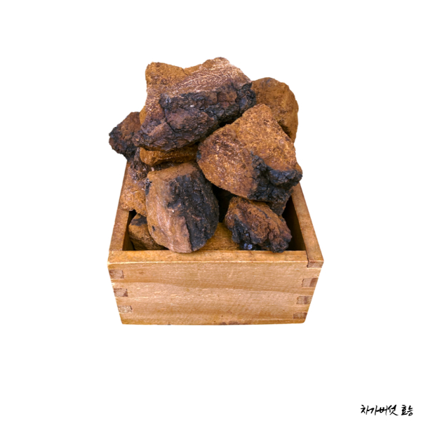 차가버섯 효능│차가버섯의 효능 알고 드세요!