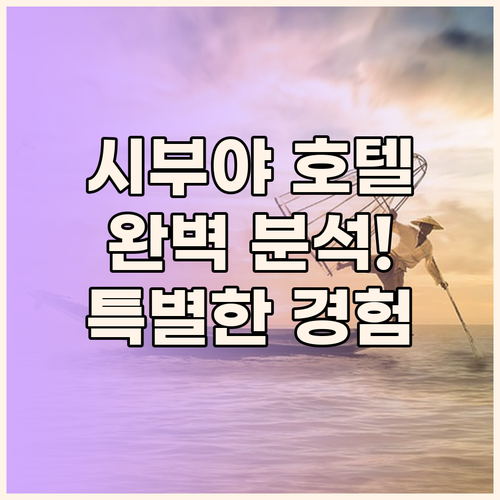 시부야 호텔 완벽 분석 교통, 편의시
