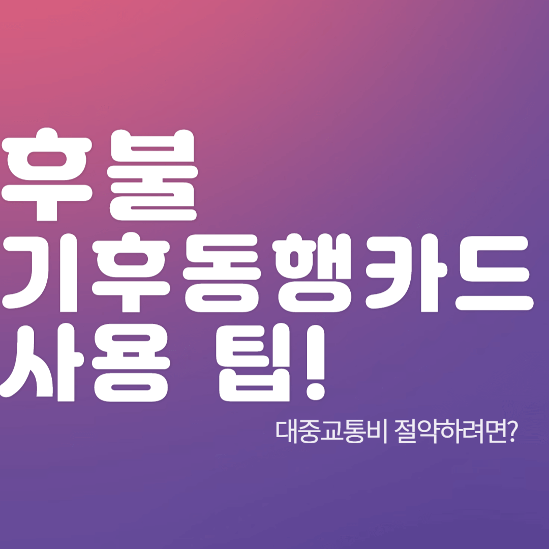 후불-기후동행카드