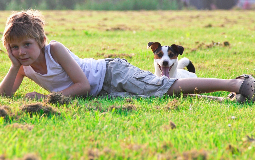 정부 혜택을 찾는 사람들