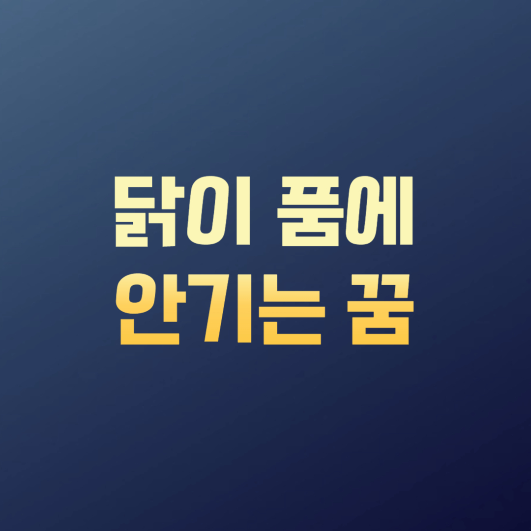 닭이 품에 안기는 꿈