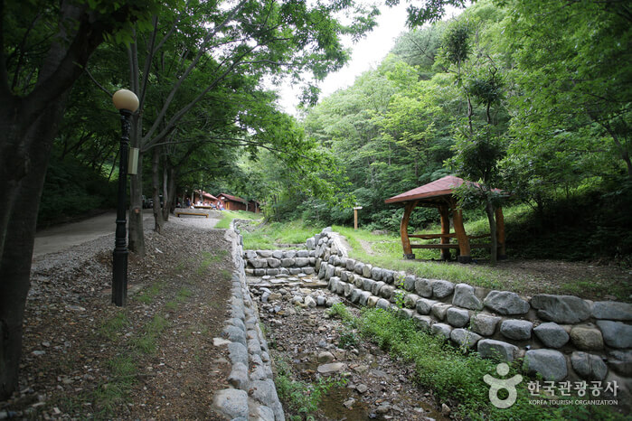 대구 가볼만한 단풍 여행은 어디일까? 대구 단풍 여행 총정리!