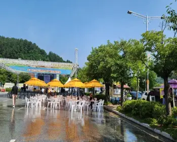 홍천 찰옥수수 축제_4