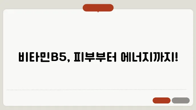 비타민B5 효능