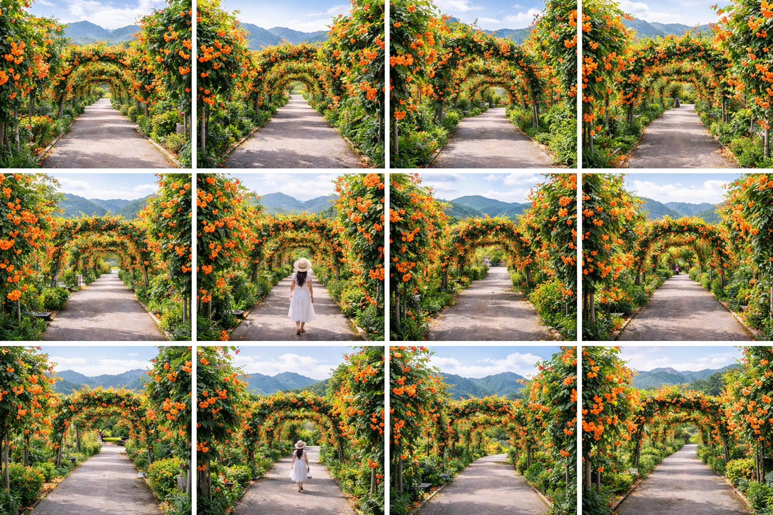 남해 보물섬식물원 능소화길 개화시기&middot;동선&middot;주차 총정리