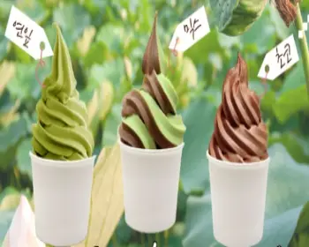 세미원 연꽃축제32