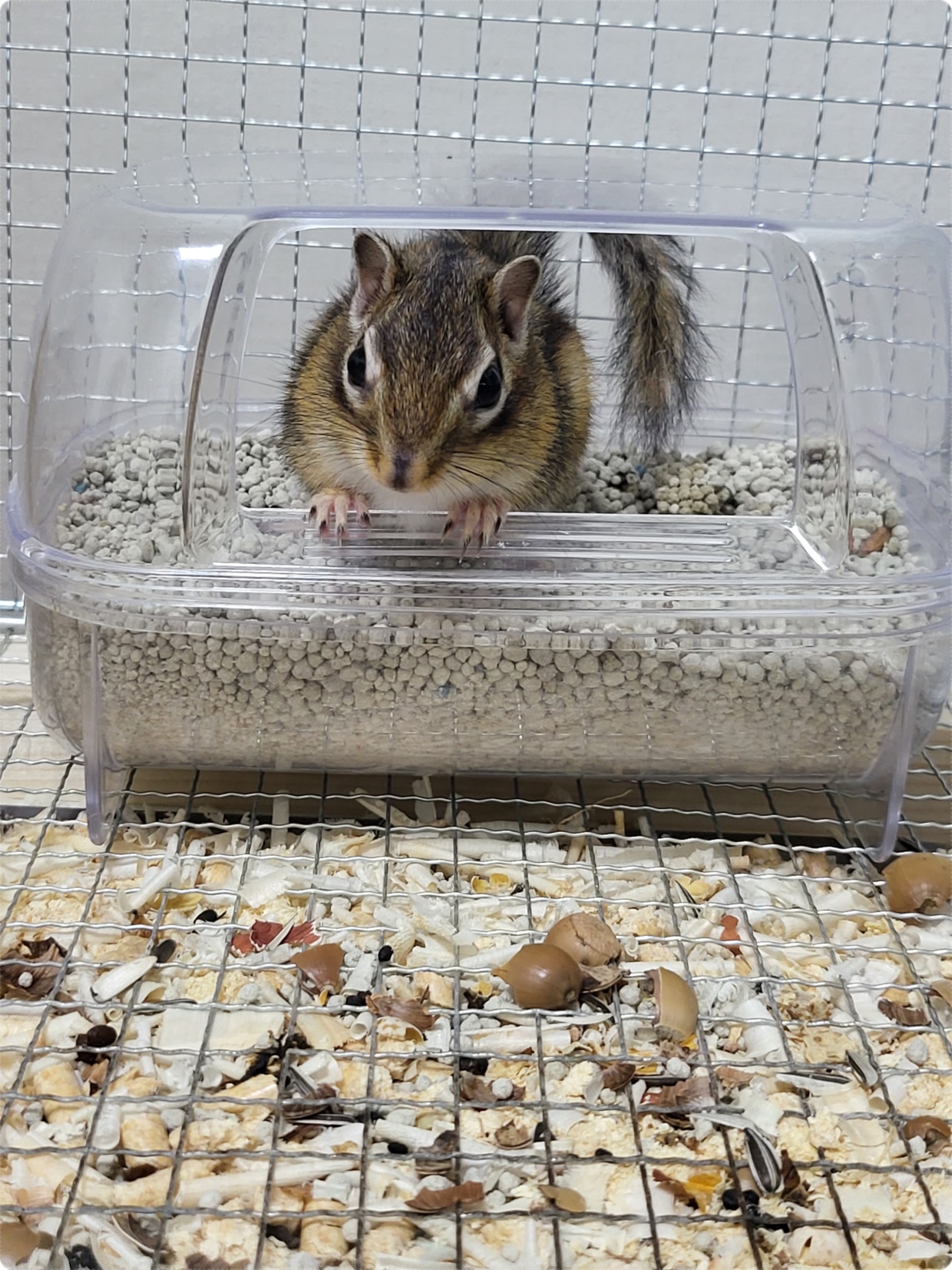 응~ 가~