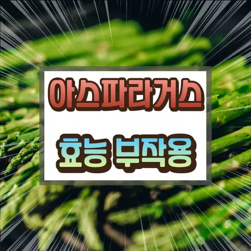 아스파라거스 효능 부작용