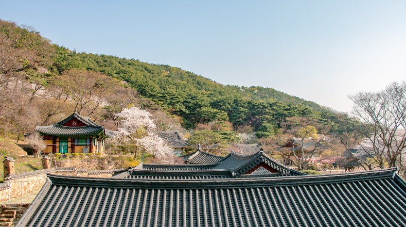 전등사