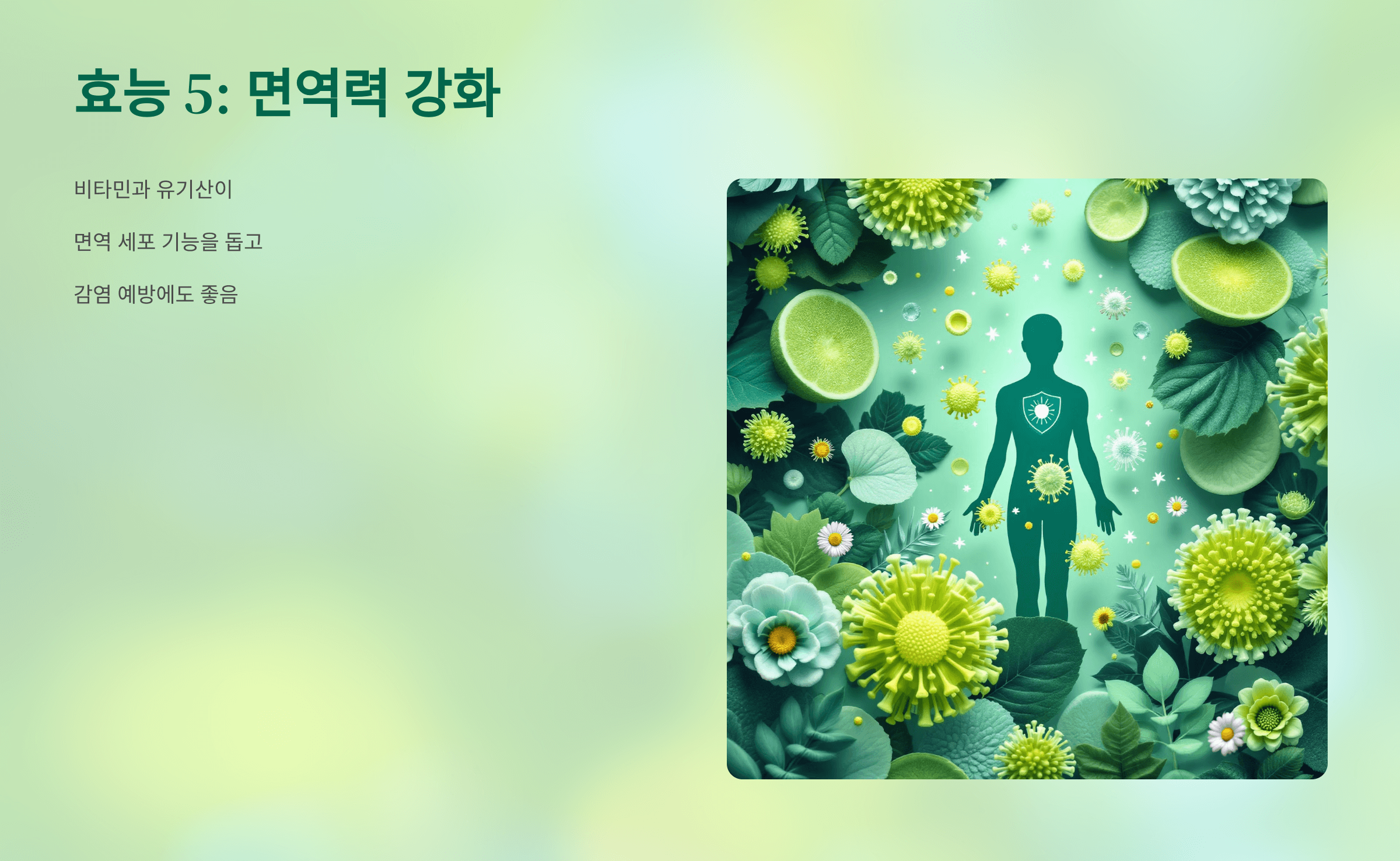 매실청 사진입니다.