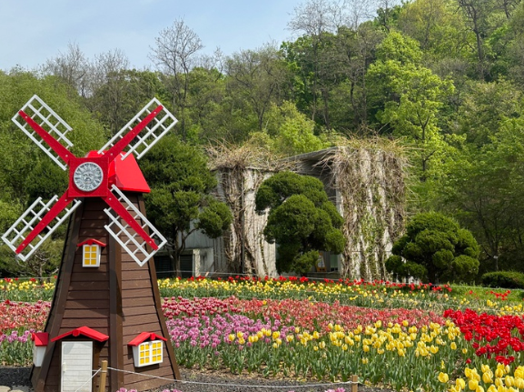 부천 장미축제 날짜 주차장