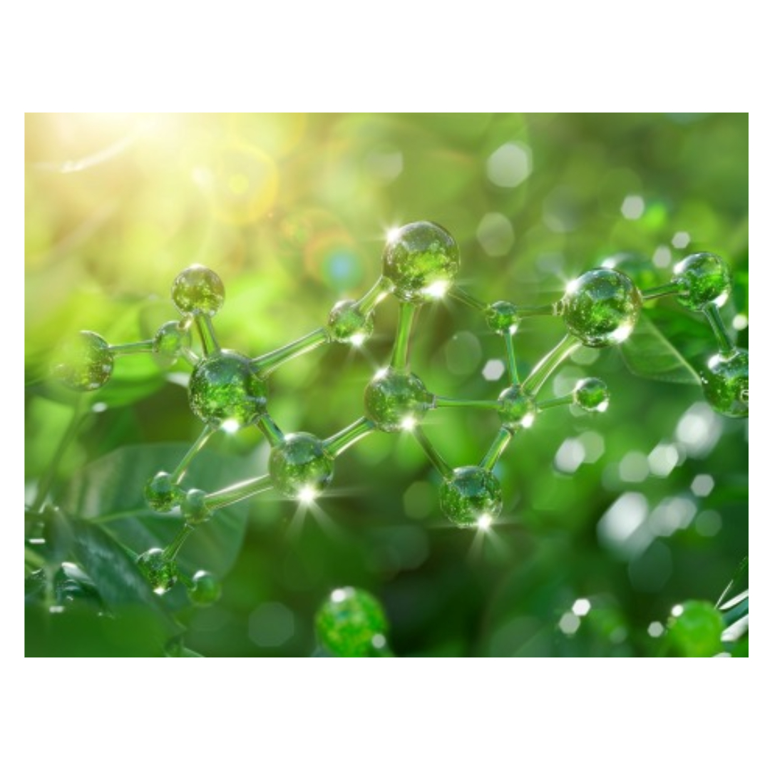 고지혈증과 관련된 사진입니다.