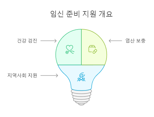 임신 준비 지원 개요
