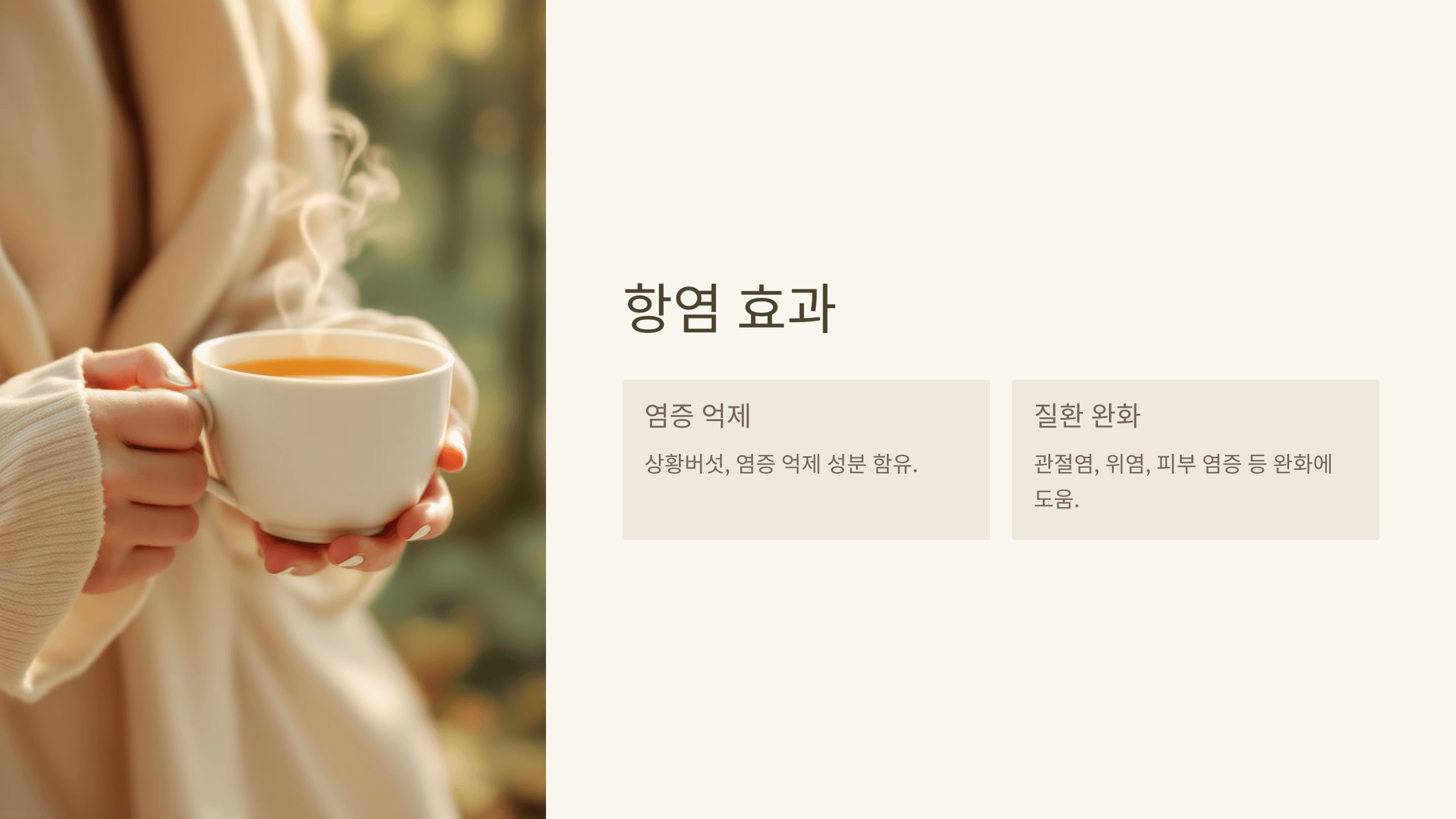 상황버섯 사진입니다.