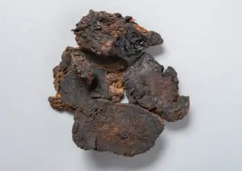 쌍화차 효능 및 영양성분&amp;#44; 쌍화차 재료