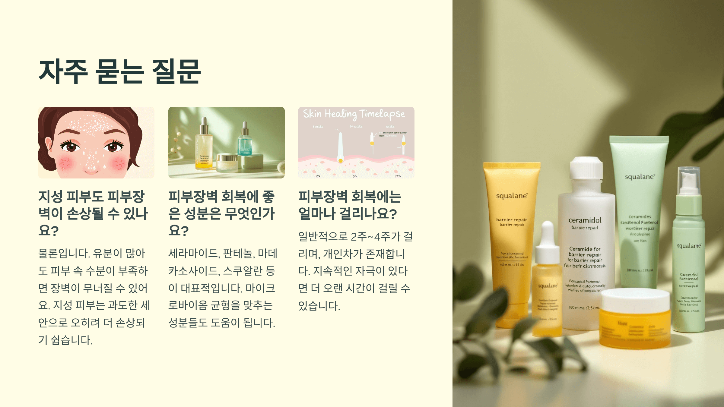피부장벽질문