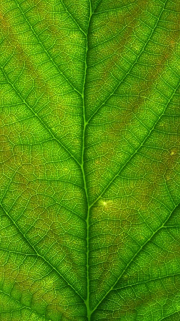 기공 개페의 원리