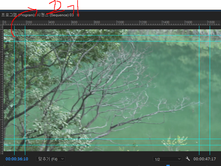 가이드 라인 보기