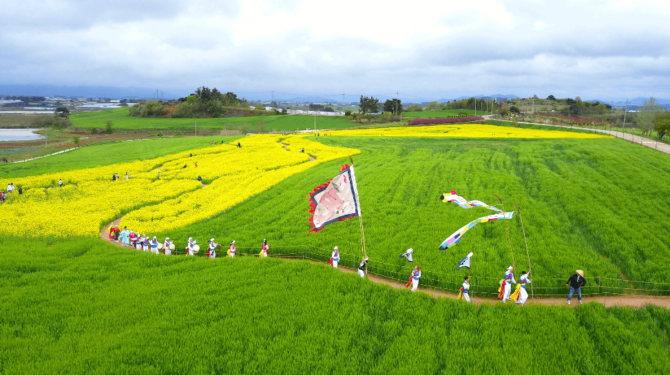 고창 청보리밭 축제