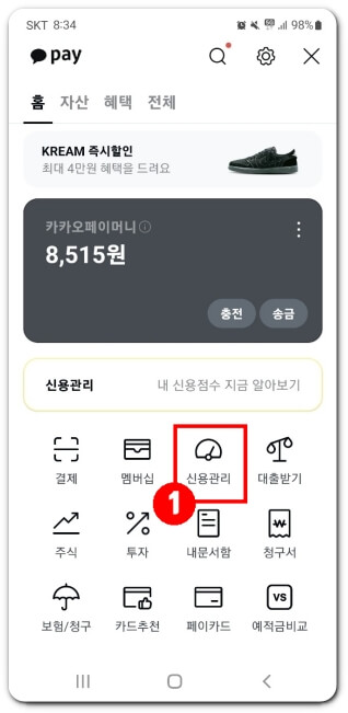 카카오톡-신용관리-메뉴
