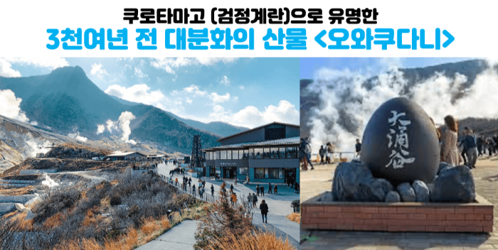 도쿄-근교-여행지-가마쿠라-에노시마-요코하마-하코네-이즈-닛코-카와고에-스이카-애플페이-일본-체크-카드-돈키호테-할인쿠폰