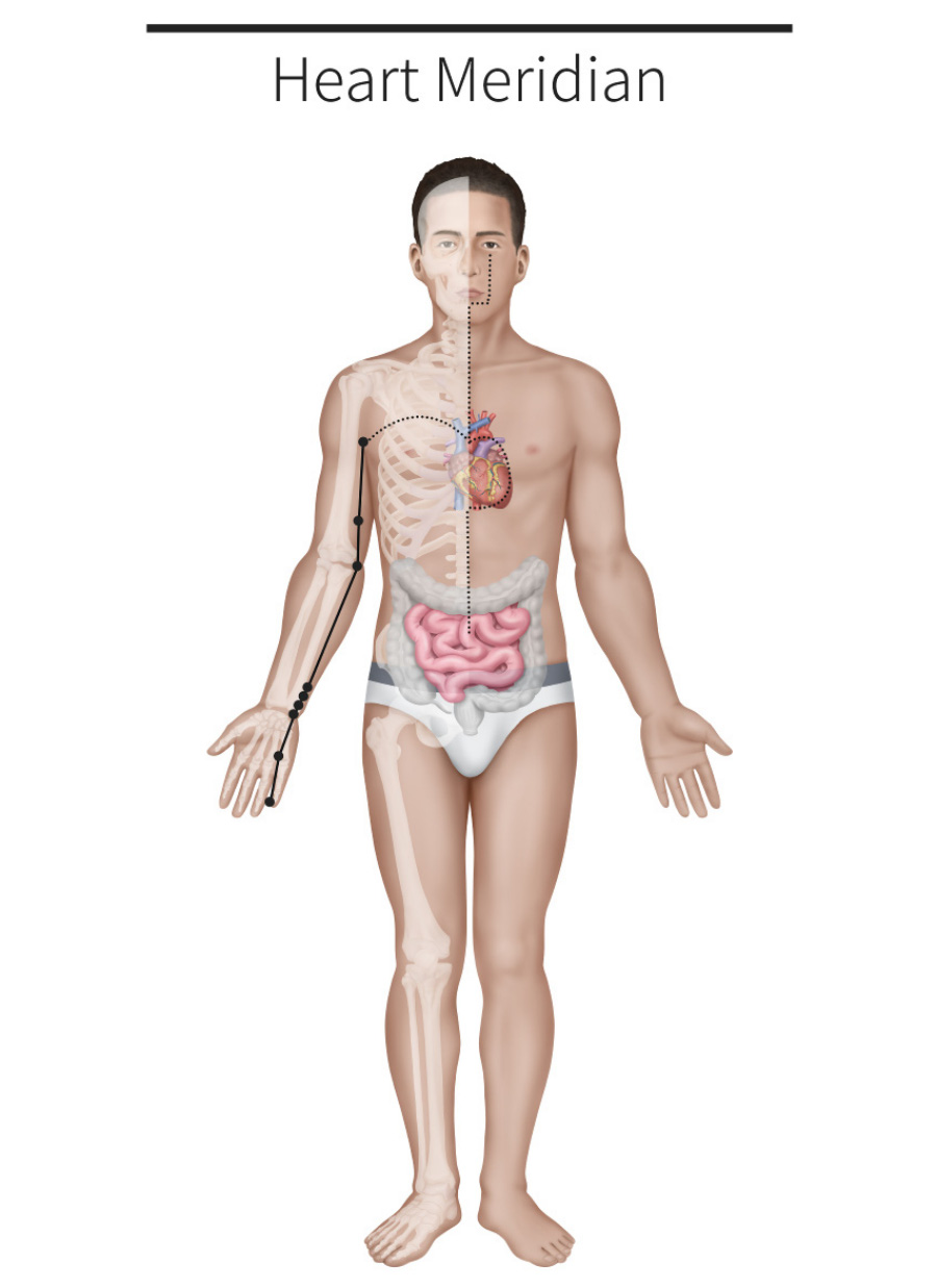한의학의 경락 중에서 심장과 소장&#44; 그리고 새끼손가락까지 흐르는 수소음심경을 나타내주는 그림 사진