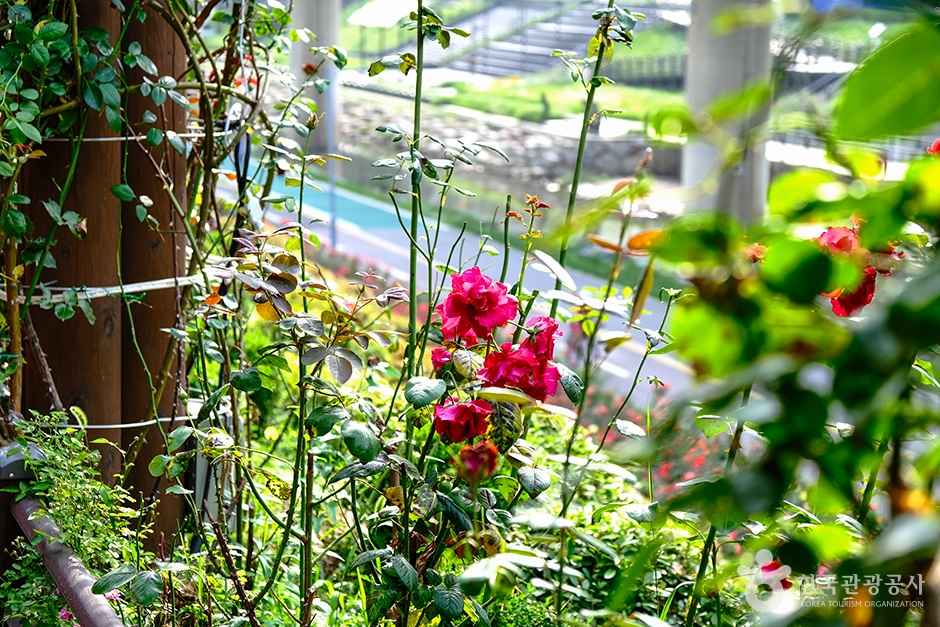 포토존 &amp; 전시 명소