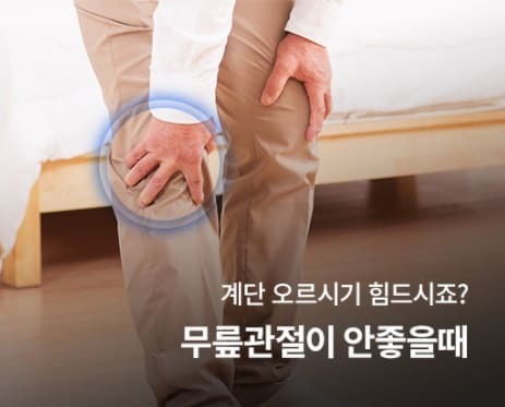 호관원 가격 알아보기