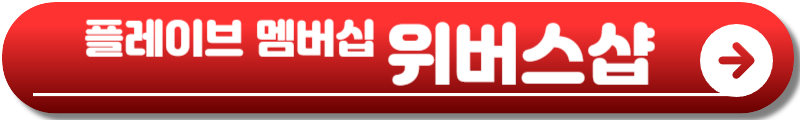플레이브 콘서트