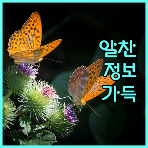 리프팅 시술 후 화장, 음주 언제부터
