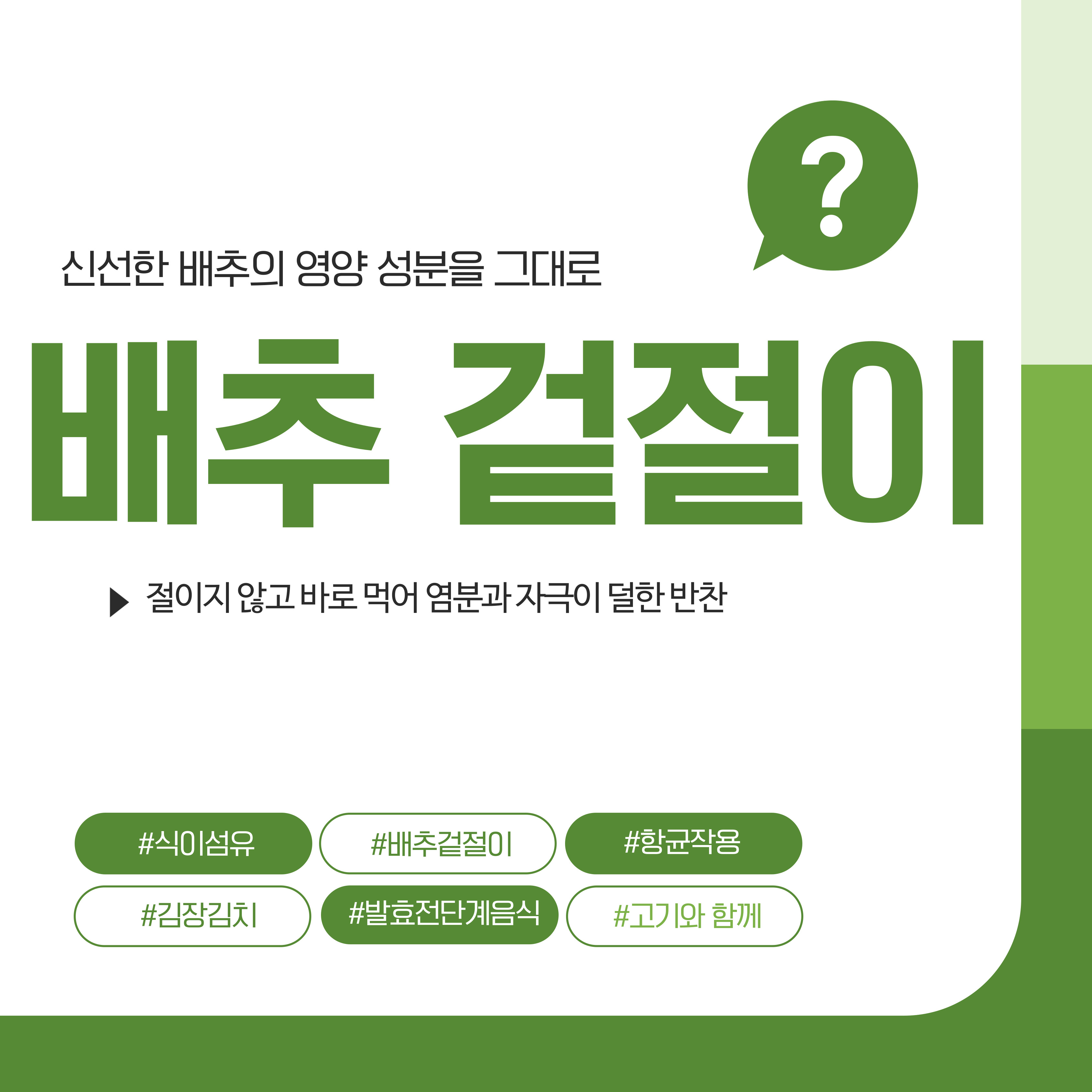 배추겉절이 만들기
