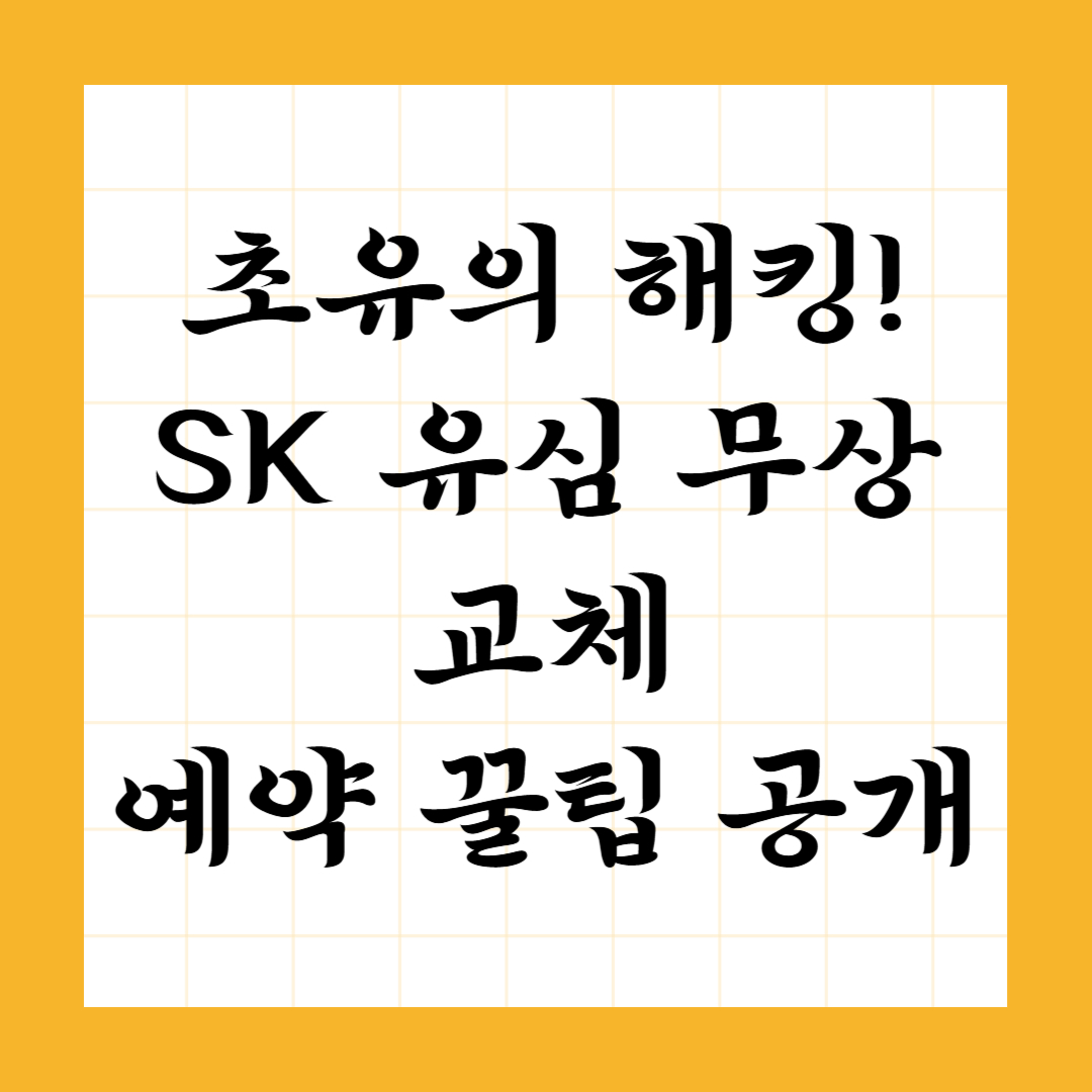 초유의 해킹!SK 유심 무상 교체 예약 꿀팁 공개