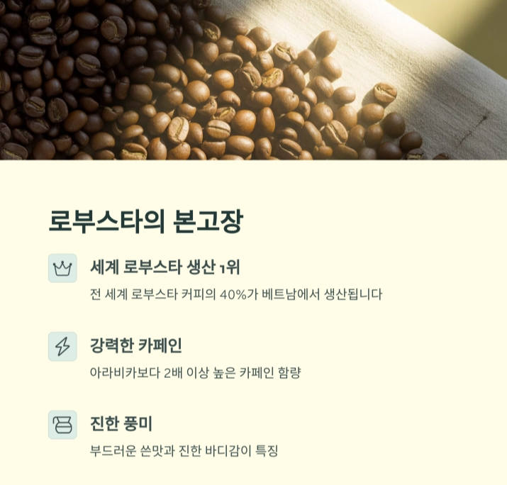 베트남 커피, 세계를 사로잡는 향과 이야기